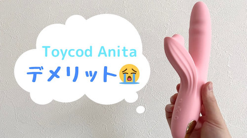 Toycod Anitaのデメリット