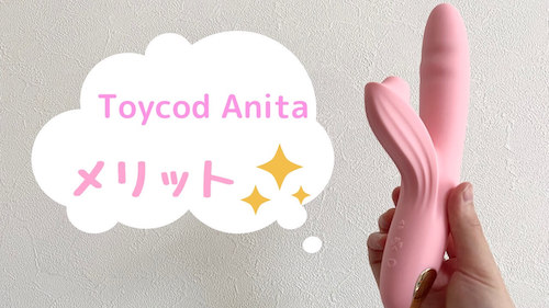 Toycod Anitaのメリット